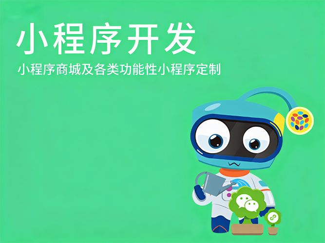 绍兴小程序定制开发服务:应用场景与选型关注点分析